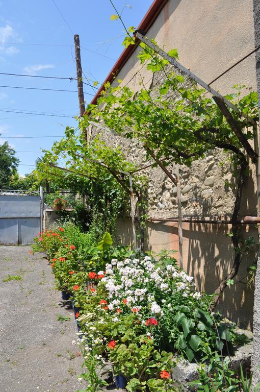 Guest House Cico Telavi Exterior photo